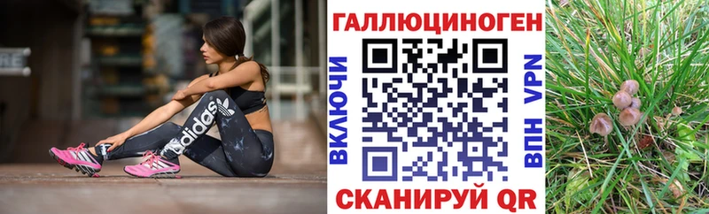 Галлюциногенные грибы мицелий  гидра зеркало  Балаково 