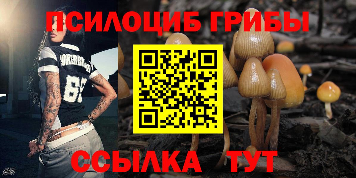 Псилоцибиновые грибы ЛСД Балаково