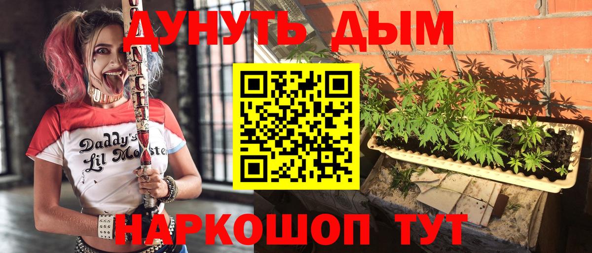 Бошки марихуана OG Kush  Вход с VPN  Марихуана марихуана  Шишки марихуана план  Балаково  Канабис LSD WEED 
